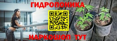 твердый Шебекино